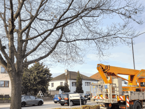 Kommunale Forst- und Dienstleistungen