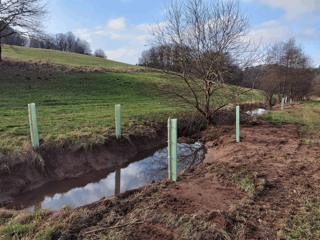 Renaturierung von Bachläufen