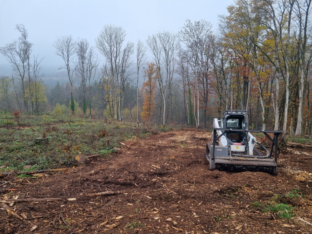 Wege- und Böschungspflege
